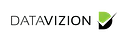 DataVizion logo