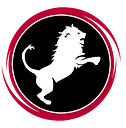 Nemean Solutions logo