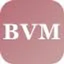 BVM Agency logo
