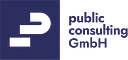 public.consulting logo