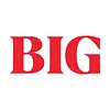 BIG Language Solutions logo
