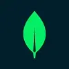 MongoDB logo