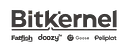 Bitkernel Technology & Affiliated Companies logo