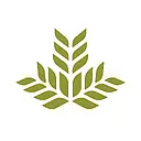Northeast Georgia Health System logo