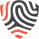 BigID logo