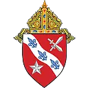 Diocese of Dallas Schools logo