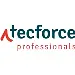 Tecforce Professionals logo