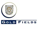 GOLD FIELDS logo