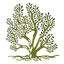 Saltbush Social Enterprises Limited logo