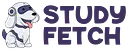 StudyFetch logo