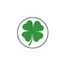 Flynn'S Tire Group logo