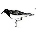 Sandpiper Property Mgt logo