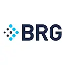 Berkeley Research Group logo