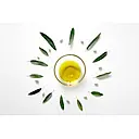 True Oil logo