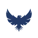 Acuity International logo