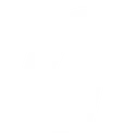 Gemini Industries Inc. logo