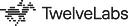 TwelveLabs logo