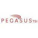 PegasusTSI logo