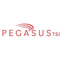 PegasusTSI logo
