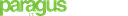 Paragus Strategic IT logo