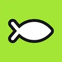 Brainfish logo