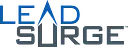Lead Surge logo