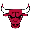 The Chicago Bulls logo