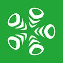 AVL logo