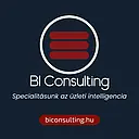 BI Consulting Kft. logo