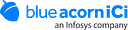 Blue Acorn iCi logo