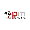 PM Consulting logo