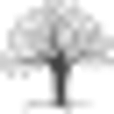BCFS Health and Human Services logo
