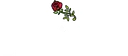 Asada Tacos + Beer logo