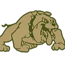 1 Alpha Consulting logo