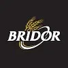 BRIDOR logo