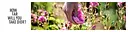 Christian Dior Perfumes logo