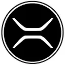 RIVOT MOTORS INDIA PVT LTD logo