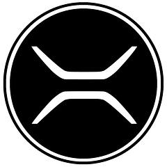 RIVOT MOTORS INDIA PVT LTD logo