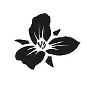 Trillium logo