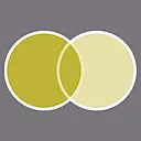 Europa Eyewear logo