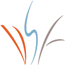 Denver Scholarship Foundation logo