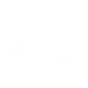 Blink49 Studios logo
