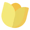 Delion Care Services logo