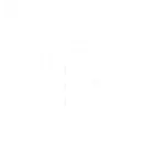 Tibeb Group logo