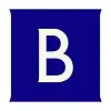  Brunswick Group logo