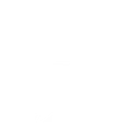 Rebel Wolves logo