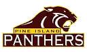 Pine Island High School logo