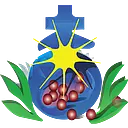 ST JOHN OF GOD COMMUNITY SERVICES logo