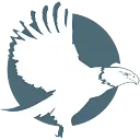 Valliant Consulting Group logo