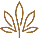 Kiva Brands, Inc. logo